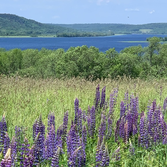 Meet your Posher, Mary lynn - Picture 1 of 1